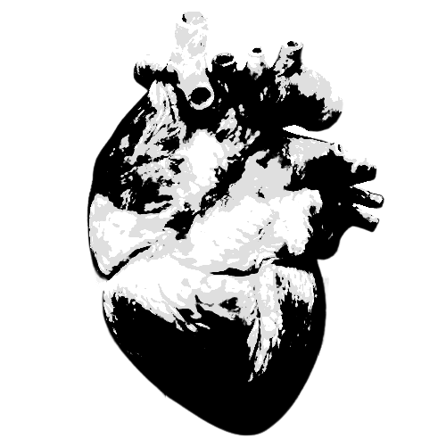 Corazon