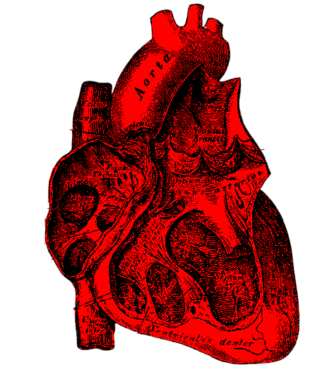 heart.